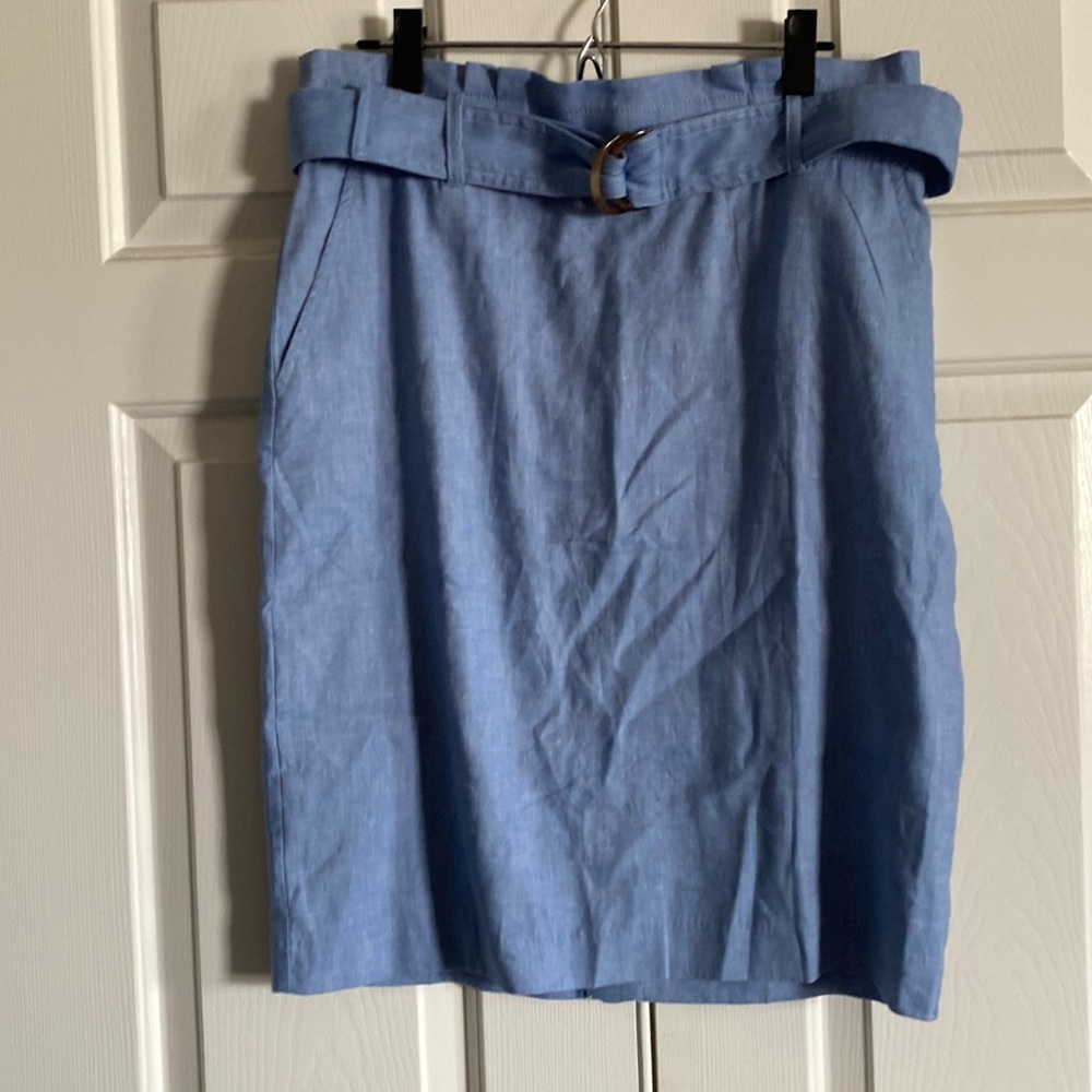 NWT Ann Taylor Blue Skirt
